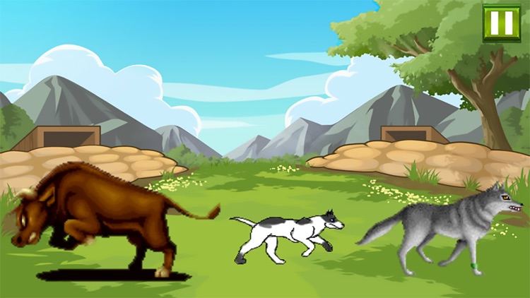 Animal Spelling-Kids Education 2017 screenshot-4