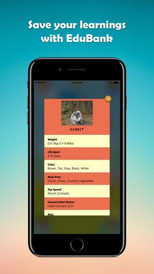 CHUCK-n-GUESS Animals(圖4)-速報App