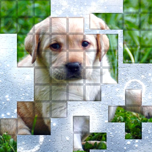 PicPu - Dog Picture Puzzle iOS App