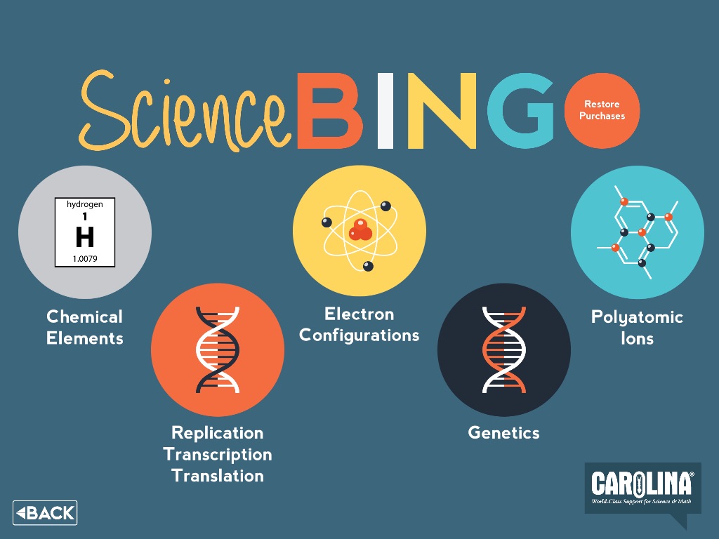 Science BINGO screenshot 2