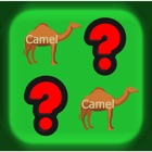 Matching king : animal english vocabulary memory