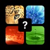 Icon Pics Quiz Trivia - Fun Top Word Guess Games