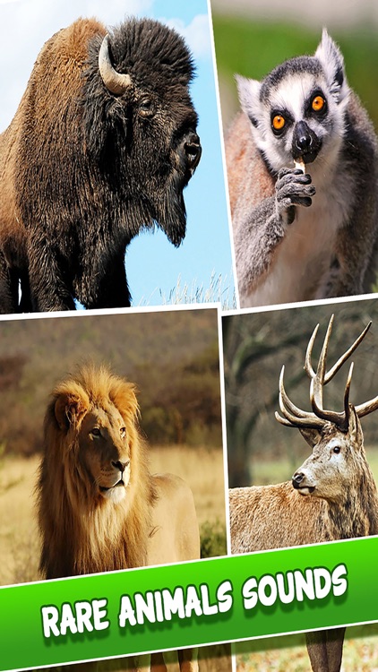 Real Animals Sounds - For Kids