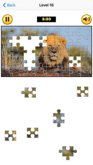 Puzzle Collection Pro: Animals(圖2)-速報App