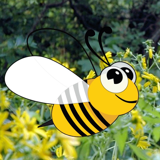 Flap Bee Game iOS App
