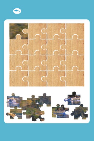 Animal Bear Animal Jigsaw For Kid Preschool screenshot 2