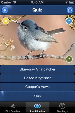 Bird Id USA - backyard birds screenshot 4