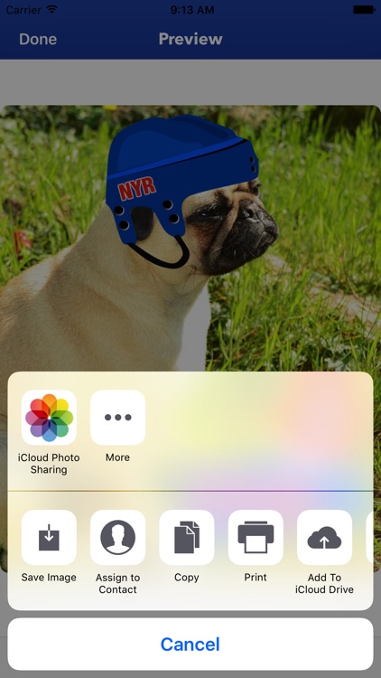 NYR Hockey Stickers & Emojis screenshot-4
