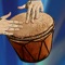 DrumJam is a whole new world of percussion and drums for the iPad, iPhone and iPod touch