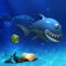 Big Fish is an interesting game with an entirely different games, to objective is eat fish pellets and smaller fish to grow