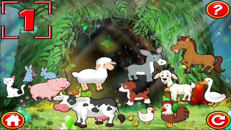 Funny Farm For Kindergarten Kids