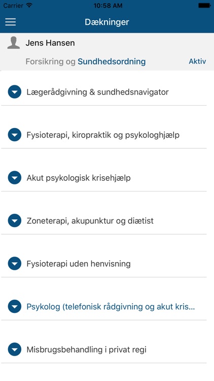 Dansk Sundhedssikring screenshot-4