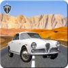 Crazy Stunt Car Race Free Game