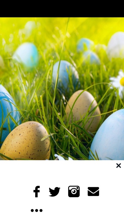 Easter Egg Wallpapers - Bunny Eggs Painting Photos screenshot-3