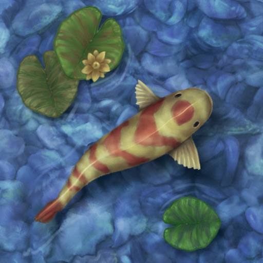 Koi Pond Live HD iOS App