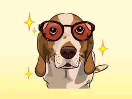 Dog with Text Stickers : New