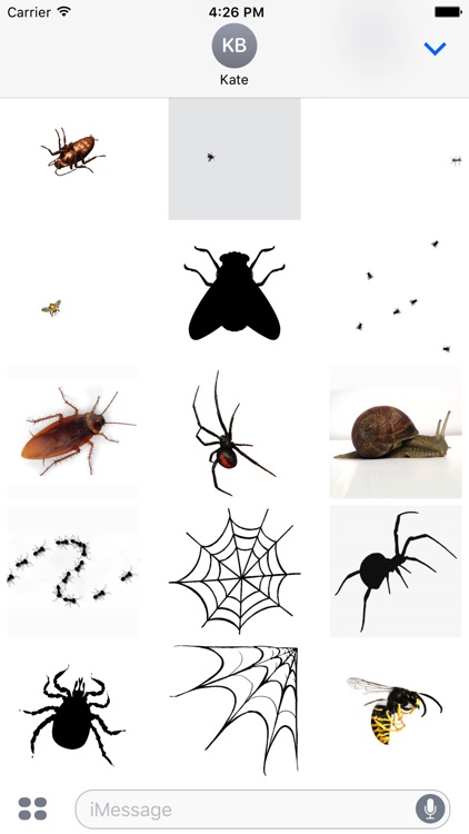 Animated Bugs