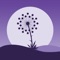 Dandelion is a simple game, entertaining, dispelling stress after work