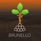 The Brunello APP allows the user to explore the Montalcino municipality environment with the help of an interactive map and shows detailed information about wine companies, vineyards, wine production, accommodation, and other useful information for exploring this luxuriant region of central Italy