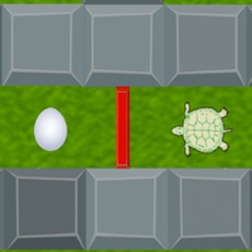 Activities of The Turtle's Challenge