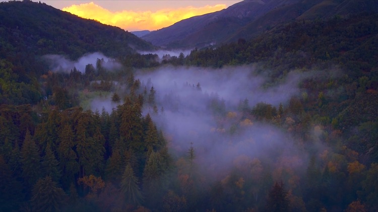 Sky Tripping: Relax to Stunning Aerial Films screenshot-3