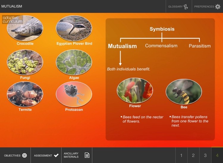 Mutualism screenshot-3