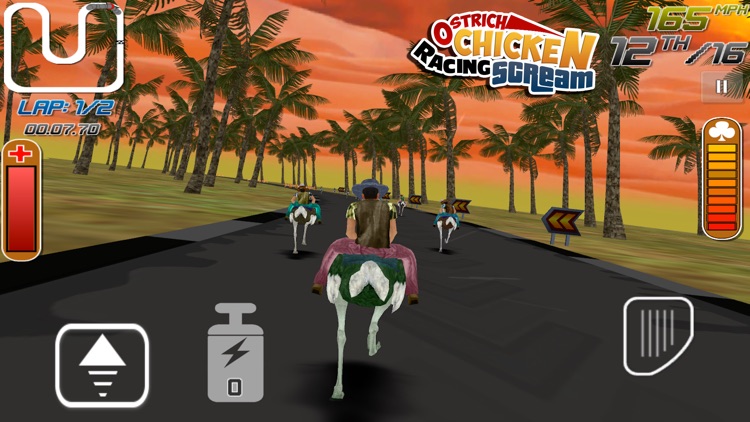 Ostrich Chicken Racing