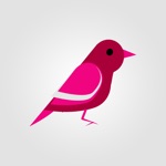 Birds Collection Stickers