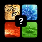 Top 50 Games Apps Like Pics Quiz Trivia - Fun Top Word Guess Games - Best Alternatives