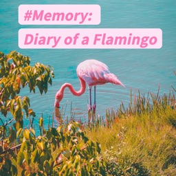 Diary of a Flamingo