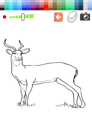 Coloring Book Antelope For Kids screenshot 2