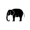 ElephantCopy