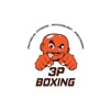 3P Boxing PT