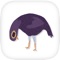 Trash Doves - A Bird Sticker Game