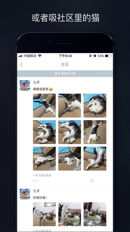 吸猫 - 你的猫就是我的猫 screenshot-3