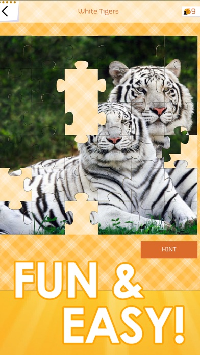 Jigsaw Puzzles - Funのおすすめ画像3