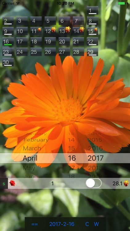 Only for Women - Period Tracker Menstrual Calendar screenshot-4