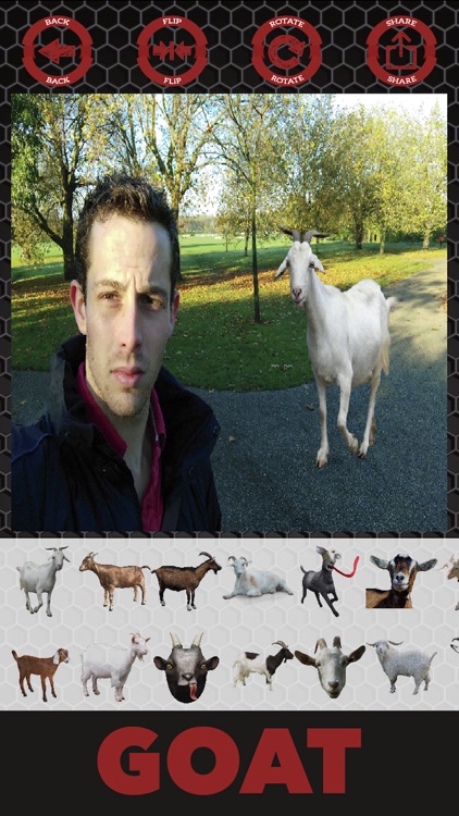 Goat stickers - photo editor goat stickers