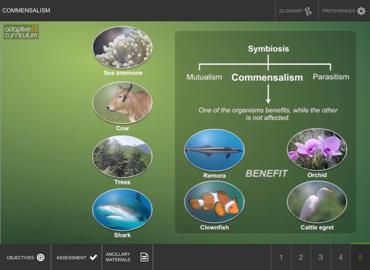 Commensalism screenshot-3