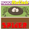 Match Spider : preschool memory match