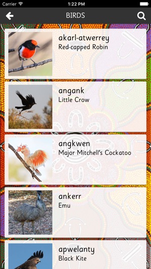 Thep Anmatyerr Birds(圖1)-速報App