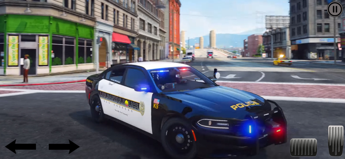 警察模拟器犯罪镇