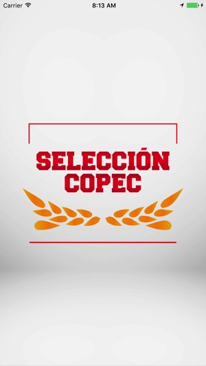 SELECCIÓN COPEC