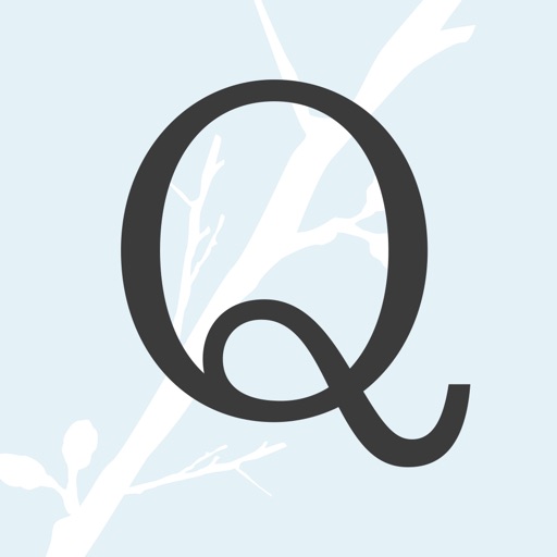 Quince & Co. Icon