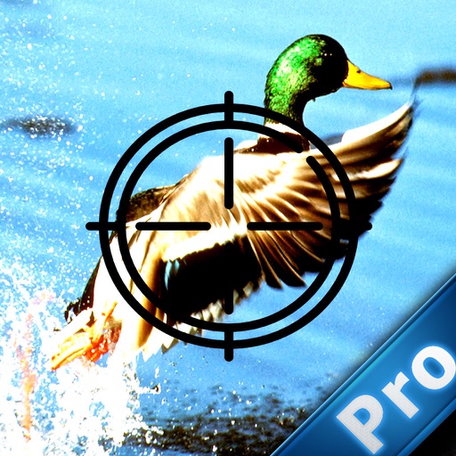 An Exciting Adventure Pro - Hunting the Duck iOS App