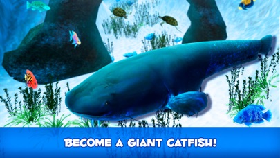 How to cancel & delete Catfish Underwater Life: Fish Simulator 3D from iphone & ipad 1