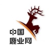 中国鹿业网
