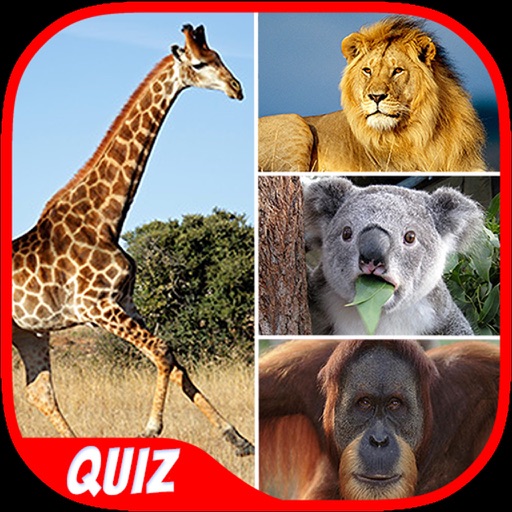 Animals Quiz - Pro iOS App