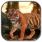 Tiger Simulator 2017
