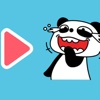 Koko The Panda Animated Stickers